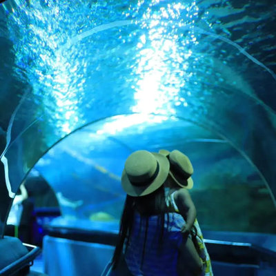 北京富国海底世界门票优惠政策（北京富国海底世界官网订票）