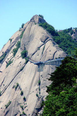凤城凤凰山门票多少钱(凤城凤凰山高度是多少米)