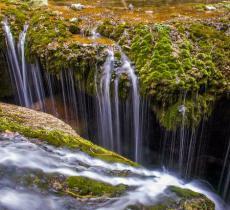 2021年蟒河景区优惠门票(蟒河生态旅游区攻略)