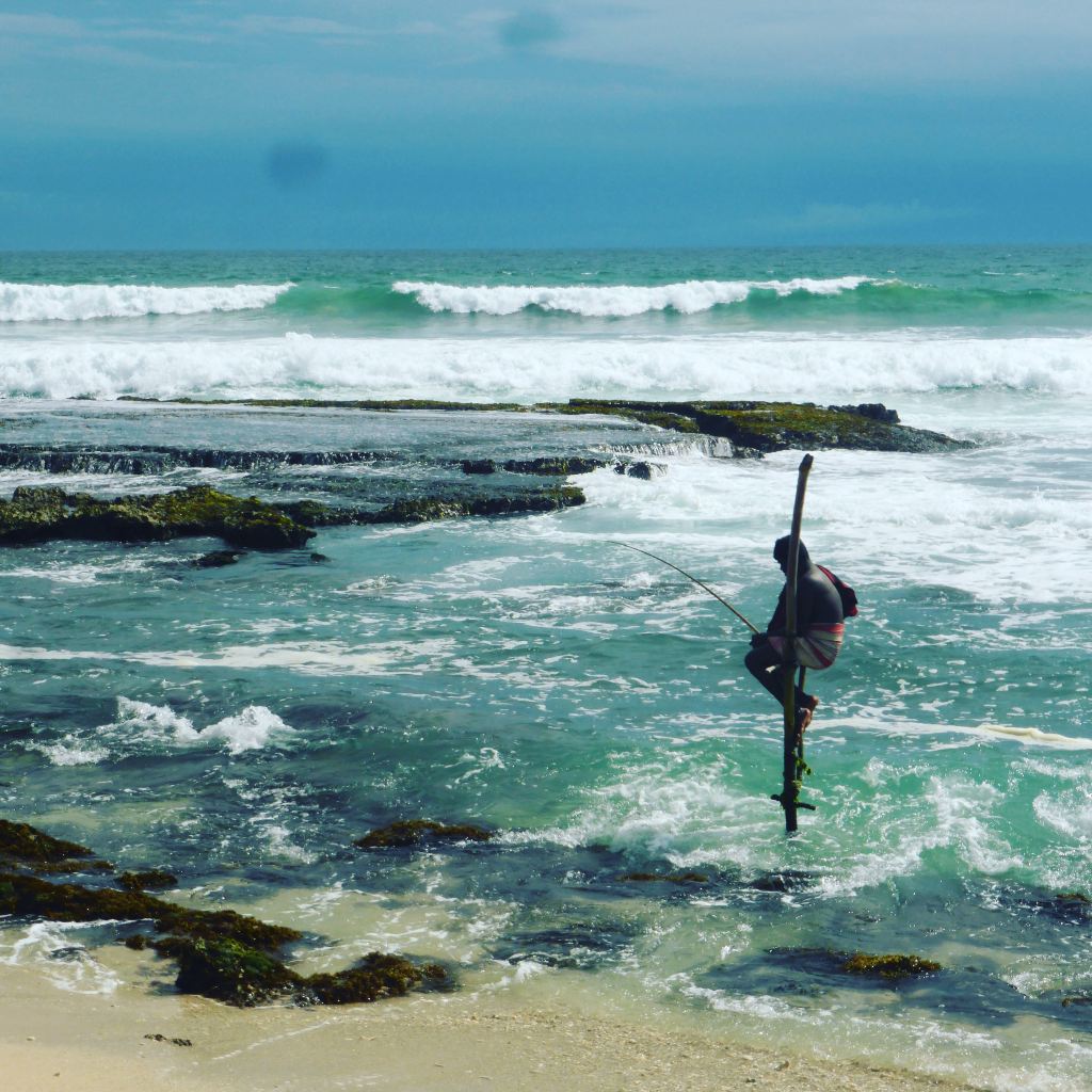 2025斯里兰卡旅游攻略图（斯里兰卡旅游路线）