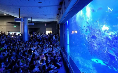 青岛海底世界攻略一日游（青岛海底世界攻略玩多久）