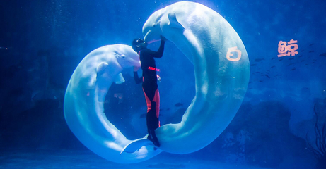 天津海昌极地海洋公园攻略价格(天津海昌极地海洋公园资讯预约)