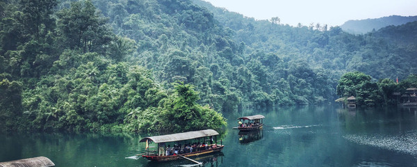 鼎湖山风景区门票多少钱一张（鼎湖山风景区门票价格表）