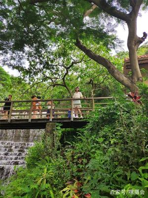 深圳青青世界攻略一日游（深圳青青世界游玩）