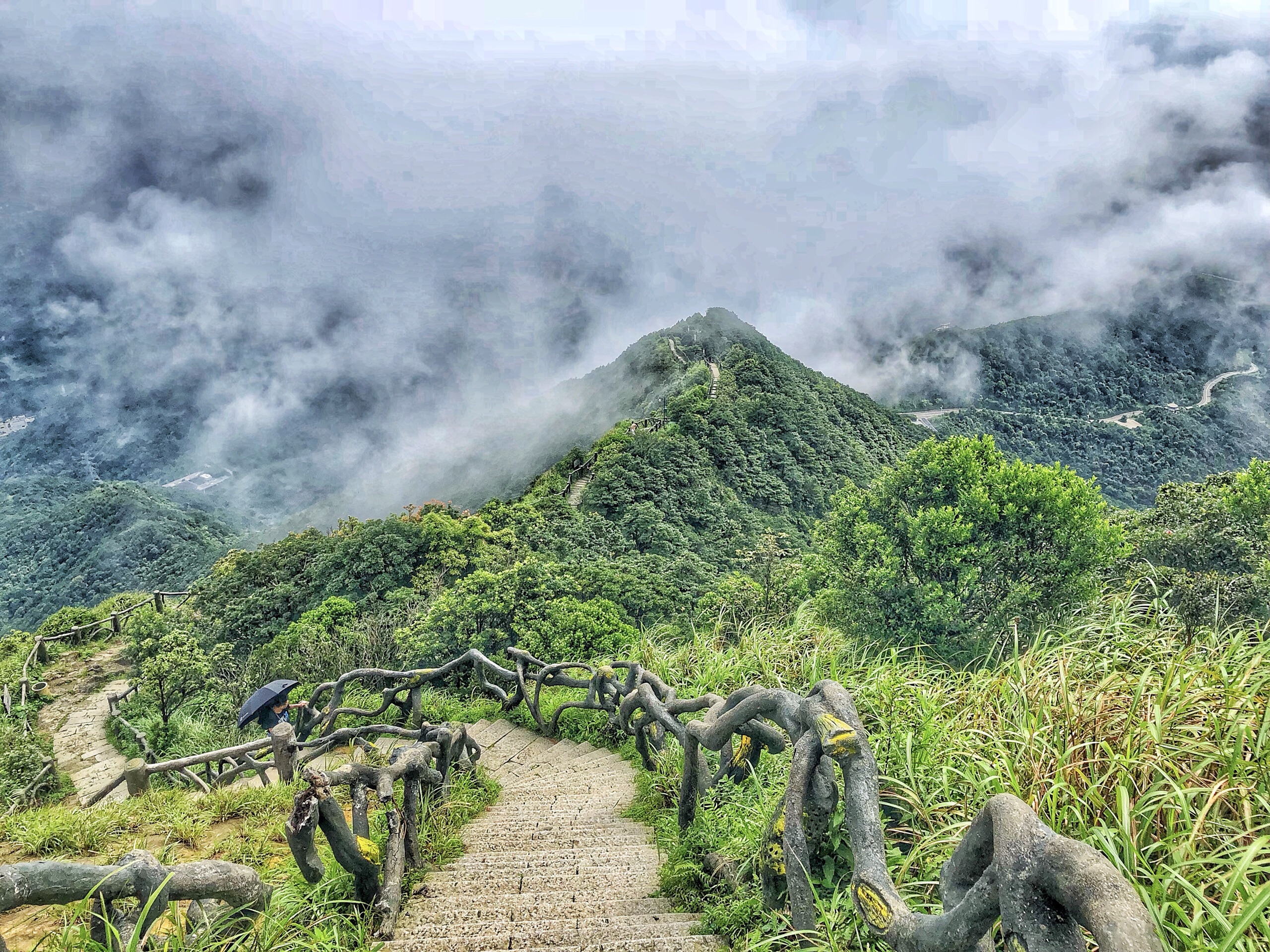 深圳 梧桐山 攻略（深圳梧桐山主入口在哪）