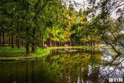 杨浦区共青森林公园怎么乘车（上海共青森林公园地址+交通路线）