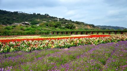 汕头的丹樱生态园有什么好玩（汕头丹樱度假村）