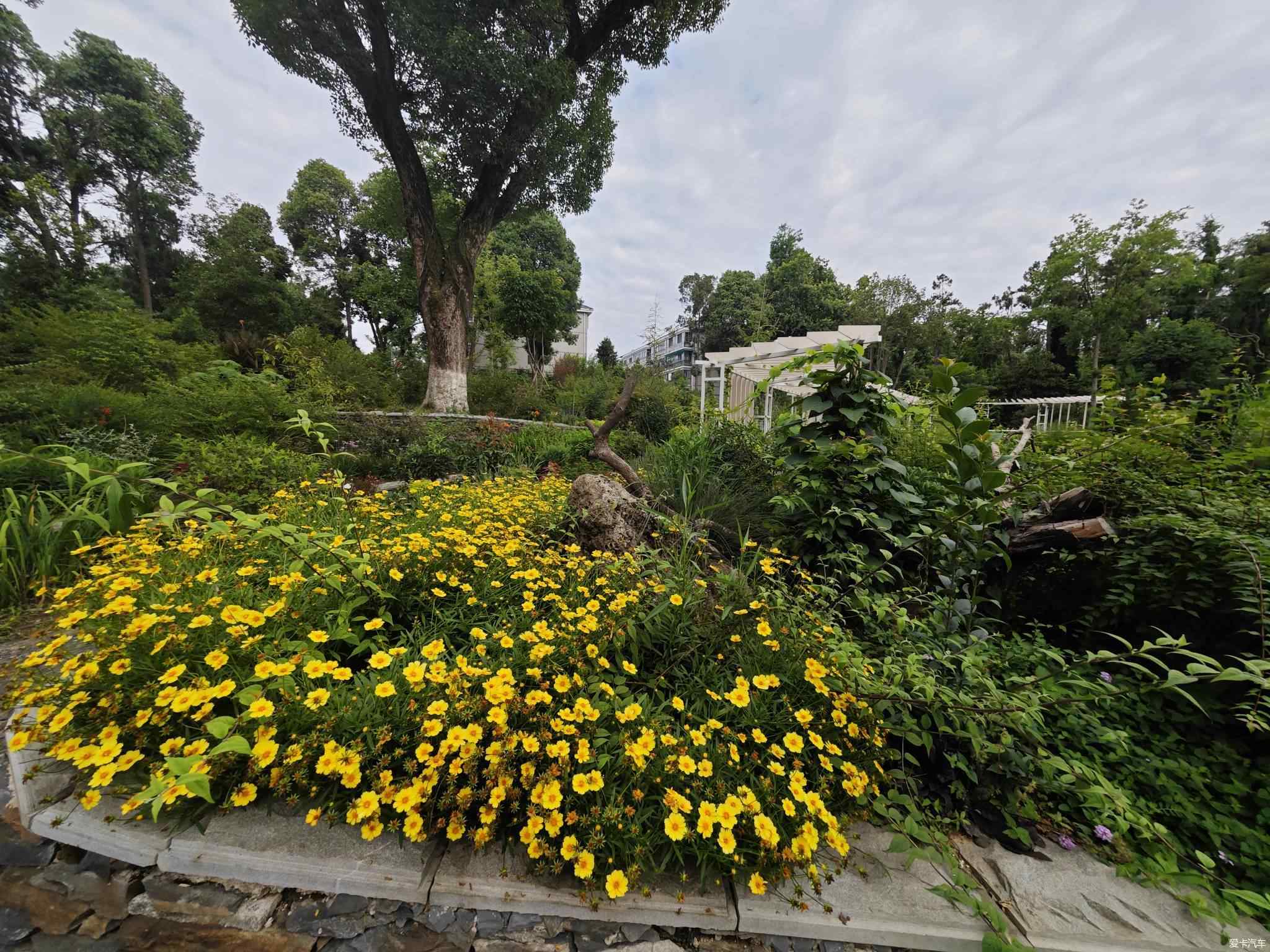 武汉中科院植物园有什么植物（中国科学院武汉植物园怎么样）