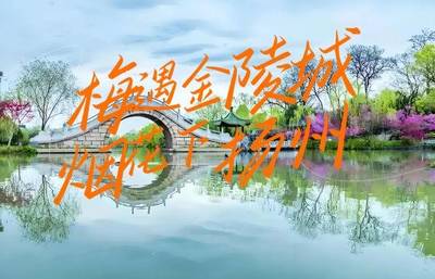 郑州旅游安排(郑州旅游攻略景点大全)