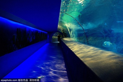 北京太平洋海底世界游玩攻略（北京太平洋海底世界开放时间）