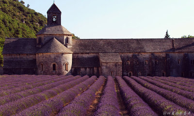 普罗旺斯旅游介绍（普罗旺斯旅游宣传片）