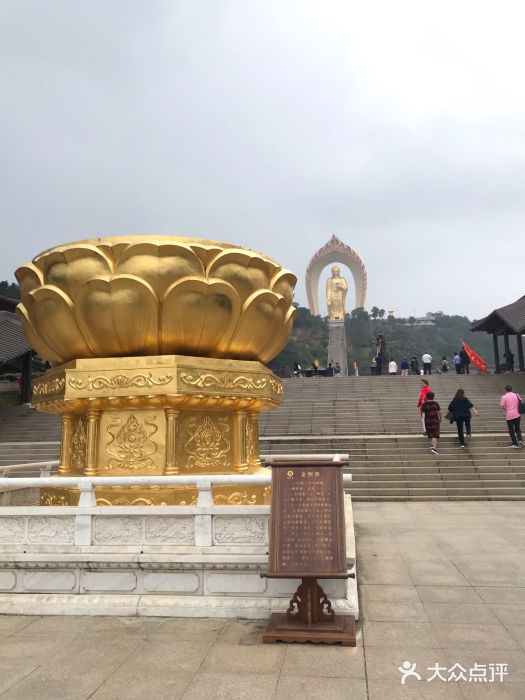 庐山东林大佛前殿回来吧孩子（庐山东林寺和东林大佛什么关系）