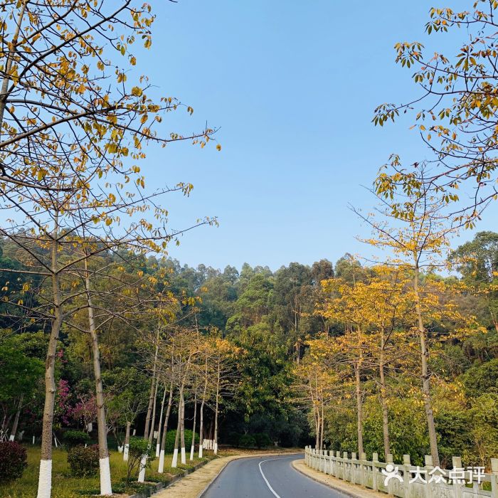 番禺大夫山森林公园攻略一日游（番禺大夫山公园图片）