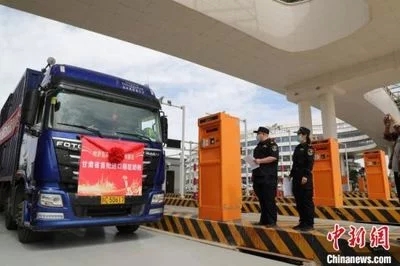 大漠新疆骆驼奶粉(骆驼奶的健康保健功效)