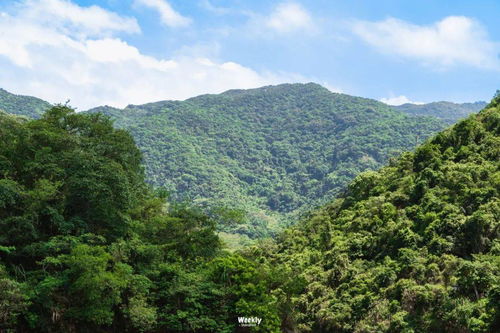 深圳梧桐山攻略，深圳梧桐山主入口在哪