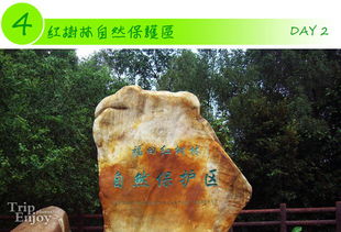 深圳梧桐山攻略,深圳梧桐山主入口在哪