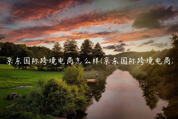 京东国际跨境电商怎么样(京东国际跨境电商)