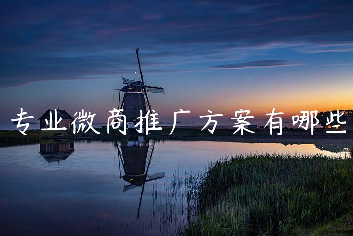 专业微商推广方案有哪些