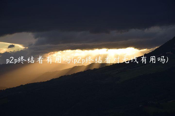 p2p终结者有用吗(p2p终结者对无线有用吗)