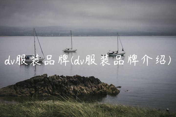 dv服装品牌(dv服装品牌介绍)