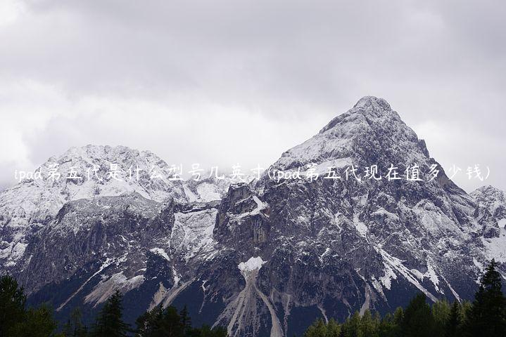 ipad第五代是什么型号几英寸(ipad第五代现在值多少钱)
