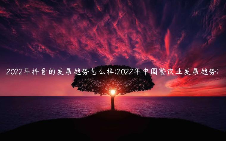 2022年抖音的发展趋势怎么样(2022年中国餐饮业发展趋势) 2022年抖音的发展趋势怎么样(2022年中国餐饮业发展趋势)