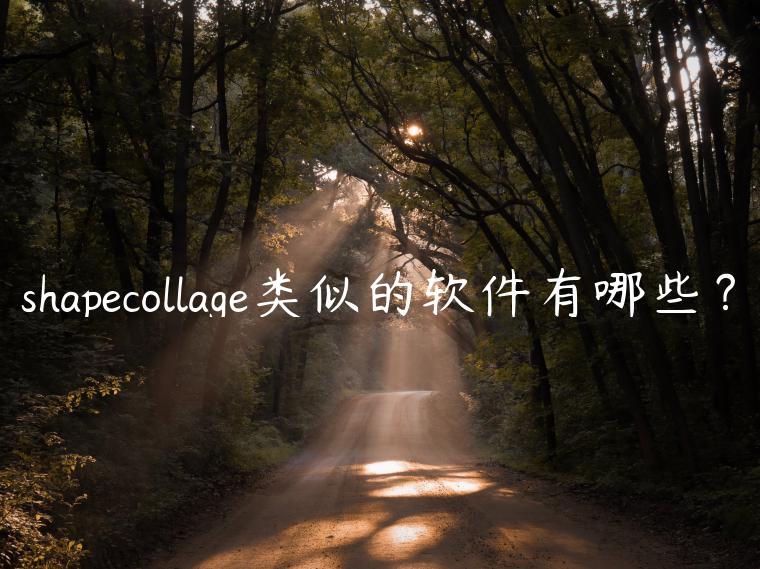 shapecollage类似的软件有哪些？