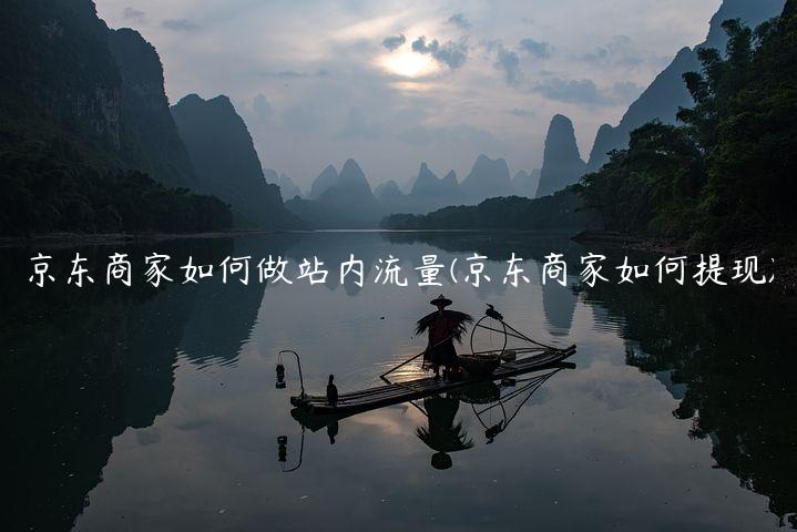 京东商家如何做站内流量(京东商家如何提现)