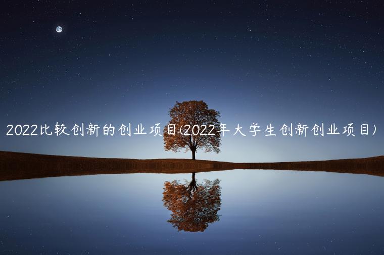 2022比较创新的创业项目(2022年大学生创新创业项目)