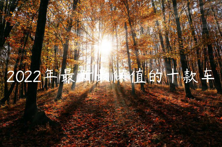 2022年最新最保值的十款车