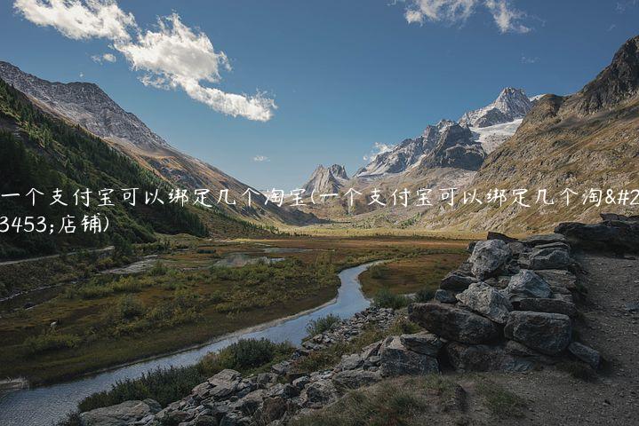 一个支付宝可以绑定几个淘宝(一个支付宝可以绑定几个淘宝店铺)